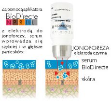 wprowadzanie-biodirecte1